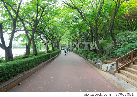 Seokchon湖夏天風景在蠶室,漢城 Seokchon湖夏天風景在蠶室,漢城 57065891