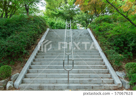 Stairs in the Forest (Seokchon Lake Park) Stairs in the Forest (Seokchon Lake Park) 57067628