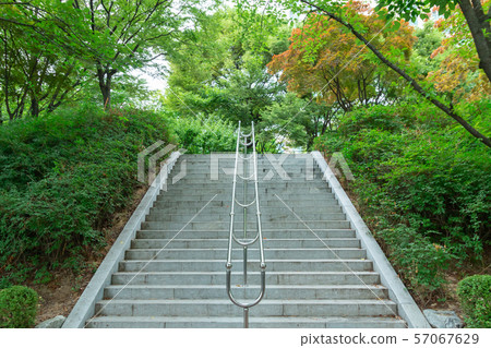 Stairs in the Forest (Seokchon Lake Park) Stairs in the Forest (Seokchon Lake Park) 57067629