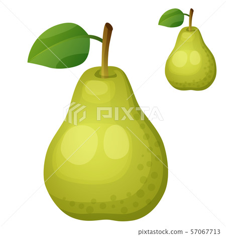Green pear. Cartoon vector icon isolated on...-插圖素材 [57067713] - PIXTA圖庫