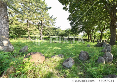 Shinoji戒指石 57068934