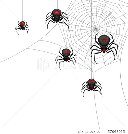 Background with black widow spiders. Background with black widow spiders. 57068935