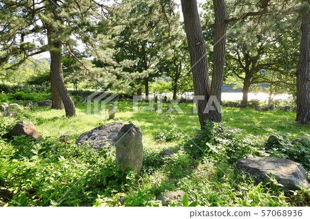 Shinoji ring stone Shinoji ring stone 57068936