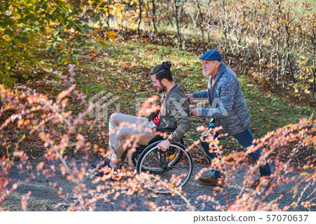 Senior father and his son in wheelchair on walk in nature. 57070637