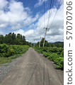 故鄉路徑 57070706