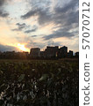 蓮花和邵陽 57070712