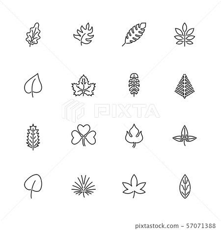 Herb - Flat Vector line Icons - Stock Illustration [57071388] - PIXTA
