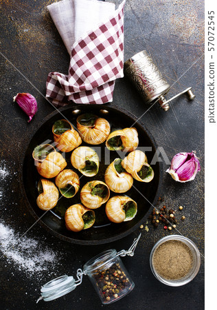 snails snails 57072545