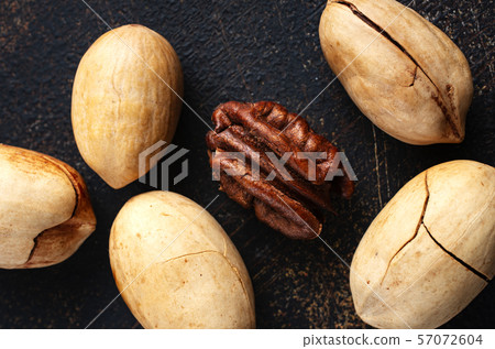 pecan pecan 57072604