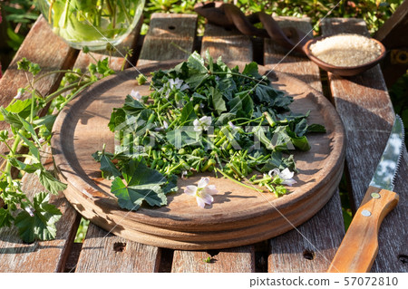 Preparation of mallow syrup against cough Preparation of mallow syrup against cough 57072810