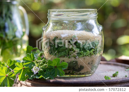 Preparation of mallow syrup from Malva neglecta Preparation of mallow syrup from Malva neglecta 57072812