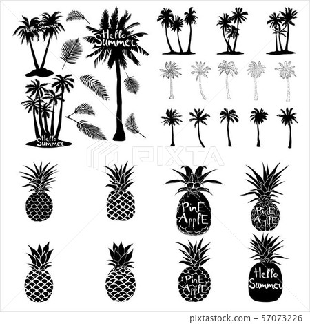 Palm trees icons set 57073226
