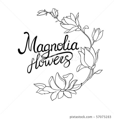loom flowers of magnolia on branch isolated on white background. Watercolor magnolia set. 57073283