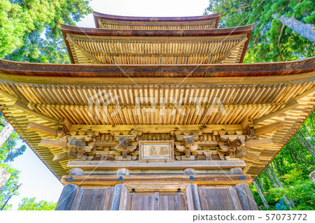 國寶大和寺三重塔青木村[長野縣] 57073772