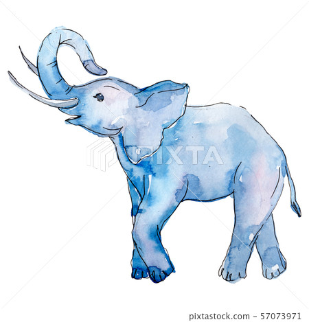 Baby elephant animal isolated. Watercolor background illustration set. Isolated elephant 57073971