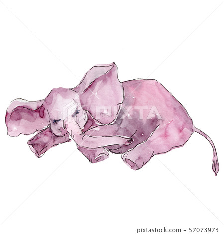 Baby elephant animal isolated. Watercolor background illustration set. Isolated elephant 57073973