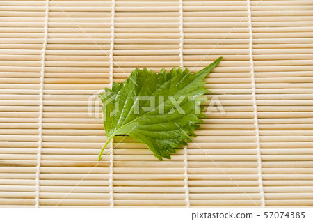 大葉子 大葉子 57074385