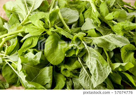 Amaranth leaves (leaf vegetables) up Amaranth leaves (leaf vegetables) up 57074776
