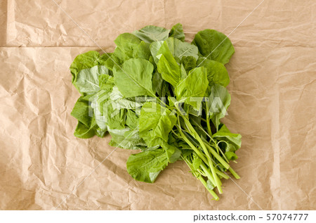 莧菜葉(葉菜) 莧菜葉(葉菜) 57074777