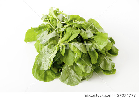莧菜葉(葉菜) 莧菜葉(葉菜) 57074778