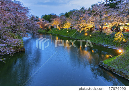 A scene from Hirosaki Castle cherry blossoms Ohashi Bridge light up 57074990