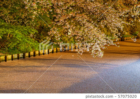 Hirosaki Castle Flower Pot Flowerlight up 57075020