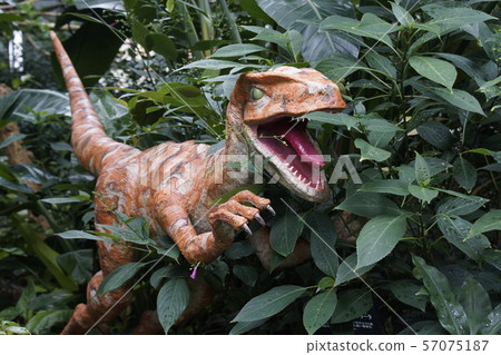 Greenhouse monster Greenhouse monster 57075187