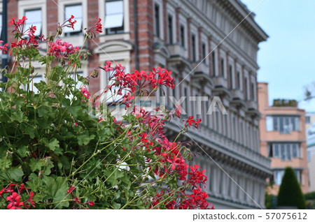 Travel to Scandinavia under summer,Stockholm in Sweden 57075612