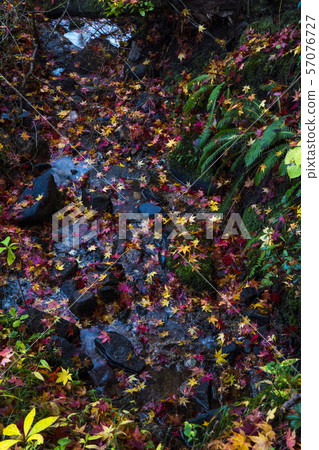 Koshihata故鄉和村莊 Koshihata故鄉和村莊 57076727