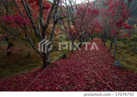 Koshihata故鄉和村莊 Koshihata故鄉和村莊 57076750