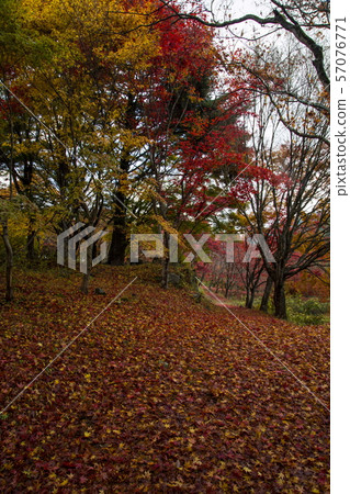 Koshihata oldness and village Koshihata oldness and village 57076771