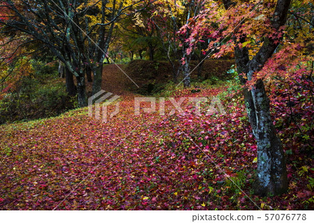 Koshihata故鄉和村莊 Koshihata故鄉和村莊 57076778