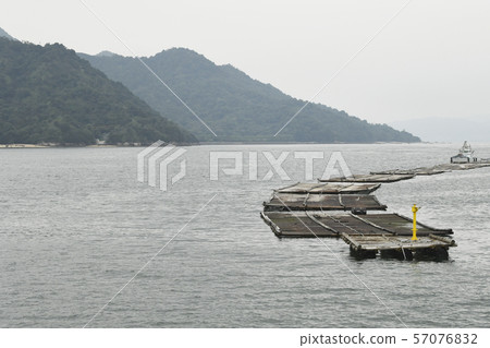 牡蠣養殖,牡蠣養殖鮭魚,海產品業務,幼苗約束,主要下垂栽培,收穫 牡蠣養殖,牡蠣養殖鮭魚,海產品業務,幼苗約束,主要下垂栽培,收穫 57076832