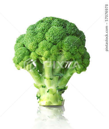 broccoli broccoli 57076978