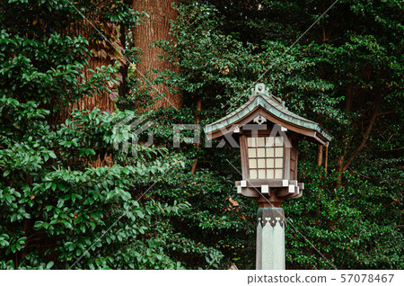 Japanese lamp of Meiji Jingu Shrine under big tree 57078467