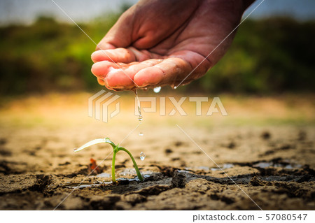 Hand watering the ground barren Hand watering the ground barren 57080547