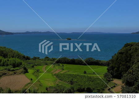 Terraced field and blue sea 57081310