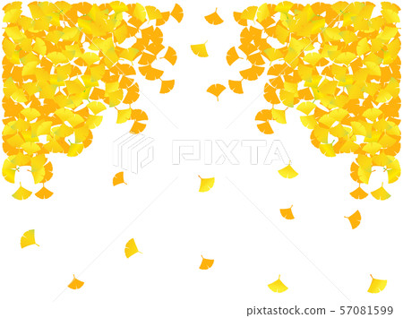 Ginkgo 30 57081599