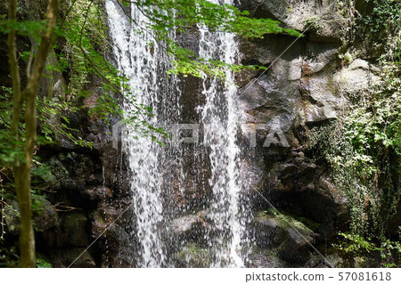 Waterfalls and nature 57081618