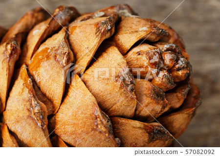 Pine cone peel texture with drops of resin on a 57082092