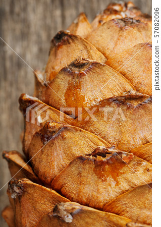 Cedar cone close-up. Pine cone peel texture with Cedar cone close-up. Pine cone peel texture with 57082096