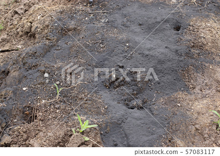 Making soil with lime nitrogen Making soil with lime nitrogen 57083117