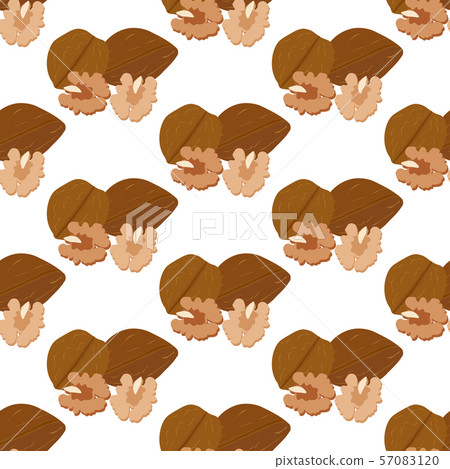 Walnut seamless pattern 57083120