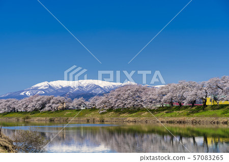 Blue sky and Ichimokusen Sakura Miyagi Ogawara Blue sky and Ichimokusen Sakura Miyagi Ogawara 57083265