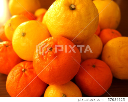 Lots of citrus, Ponkan Iyokan Kiyomi Lots of citrus, Ponkan Iyokan Kiyomi 57084625