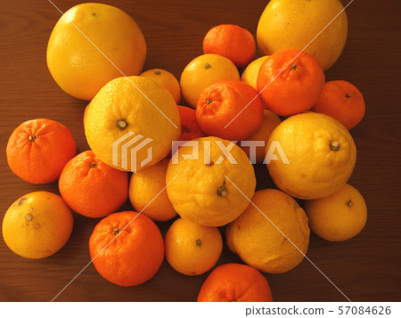 Citrus mandarin orange Ponkan fruit Citrus mandarin orange Ponkan fruit 57084626