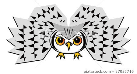 貓頭鷹，時尚，矢量圖 57085716