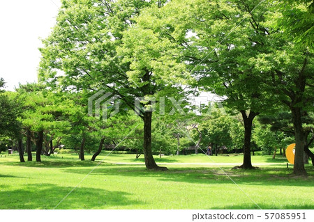 Gwanghanru，Scenic 57085951