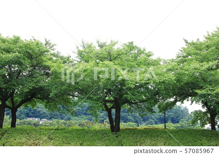 Gwanghanru,Scenic Gwanghanru,Scenic 57085967