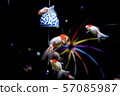 Goldfish fireworks 57085987